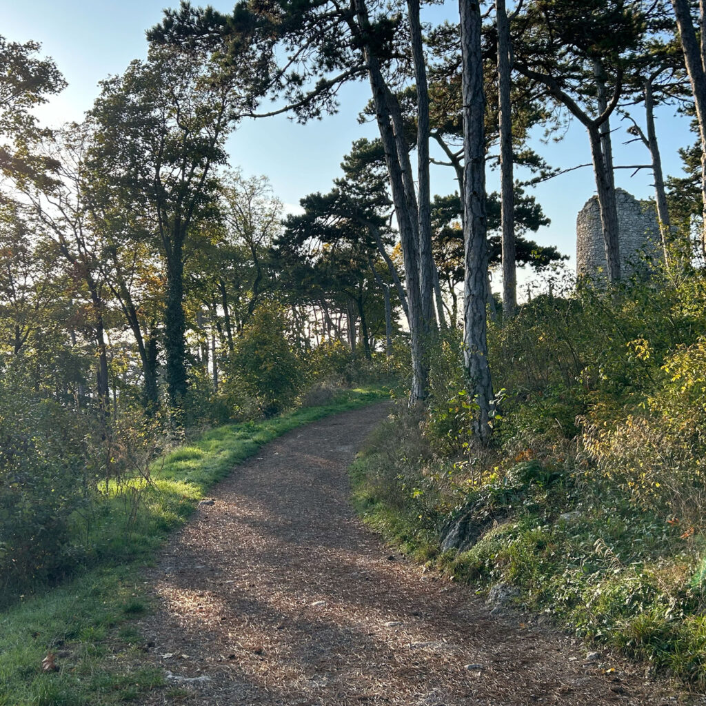 Waldweg